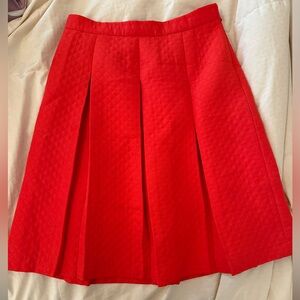 Designer pleated mid-length skirt